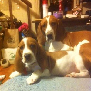 Meet your Posher, Carolyn